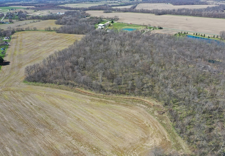 DJI 0862