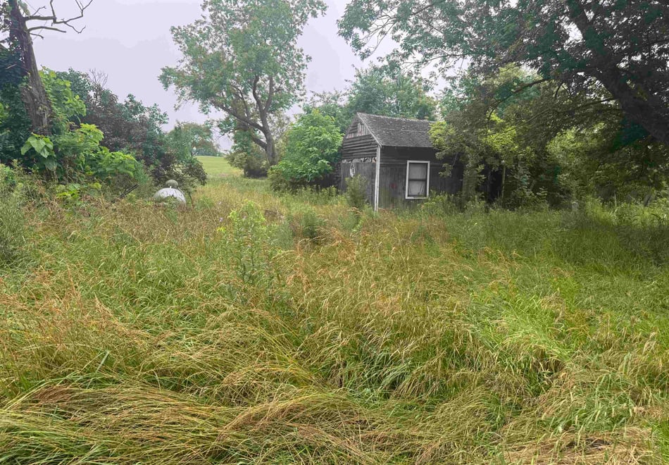 Remote image
