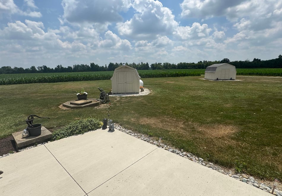 Remote image