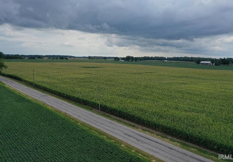 Remote image