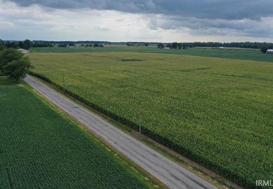 Remote image