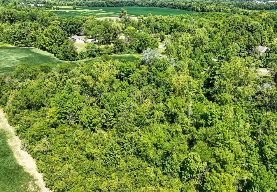 Remote image