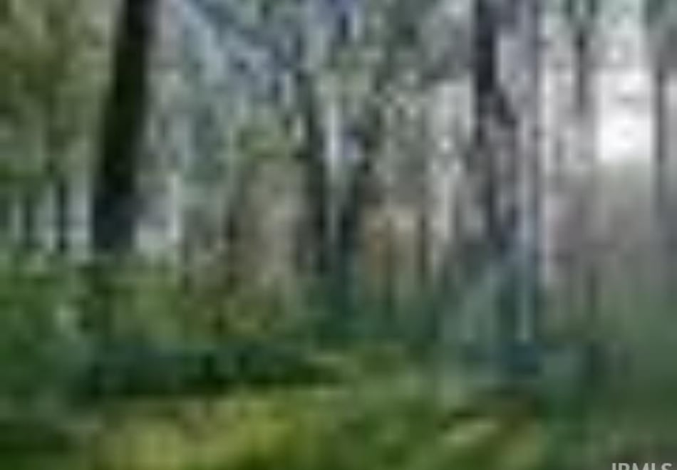 Remote image