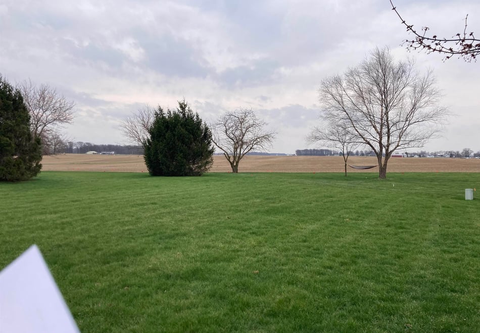 Remote image