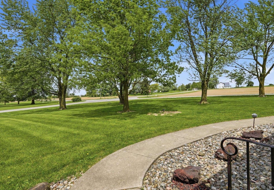 Remote image